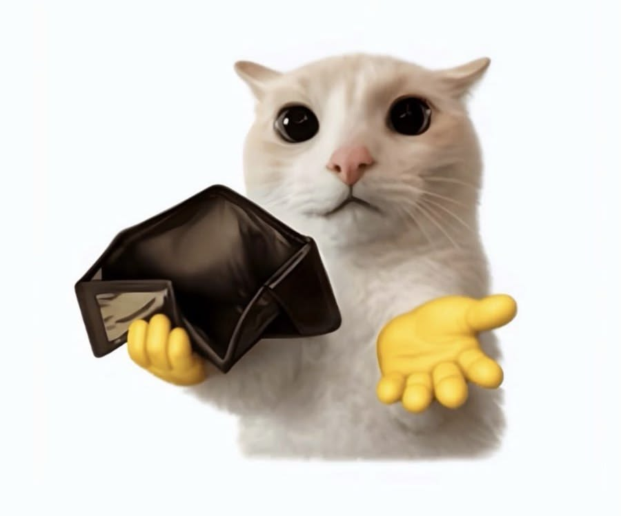 Cat holding an empty wallet sticker